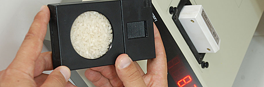 Measurement of the whiteness of rice