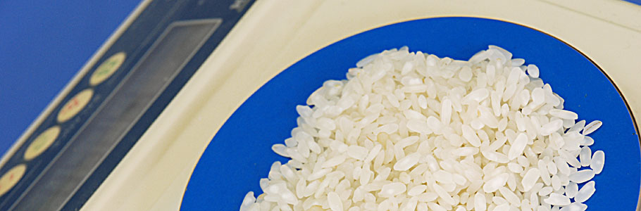 Pirinçin 1000 tane Ağırlığının belirlenmesi